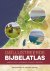 Age Romkes - Geïllustreerde bijbelatlas