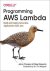 Programming AWS Lambda Buil...