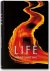 Life A Journey Through Time
