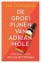Sue Townsend - De groeipijnen van Adrian Mole
