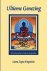 Lama Thubten Zopa Rinpochee 220260 - Ultieme genezing spirituele genezing voor degenen die pijn lijden