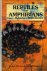 Reptiles and Amphibians. Ca...