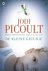 Jody Picoult - De kleine getuige