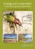 Ecology And Conservation Of...
