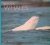 Martin, Anthony R.  Tony Martin - Beluga Whales