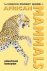 African Mammals
