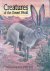 Creatures of the Desert World