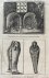  - [Antique print, etching and engraving] The inside of an Egyptian-Sepulchre. Egyptian mummies, published ca 1778, 1 p.