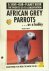 African Grey Parrots As a H...