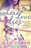 Julie Cohen - Where Love Lies