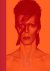 David Bowie - David Bowie IS