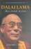 Dalai Lama. Man, monnik, my...