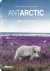 Antarctic - A Tribute to Li...