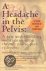 David Wise - A Headache in the Pelvis