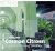SANTOSO, Joko Triwinarto - Cosman Citroen (1881-1935) - architect in 'booming' Soerabaja. Aan de oeuvrecatalogus werkten mee: Wouter de Zeeuw & Juliette Roding. - [New].