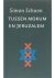 Simon Schoon - Tussen Mokum en Jeruzalem