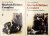 Mariella Snel - Sherlock Holmes compleet