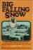 Albert Yava - Big Falling Snow