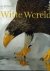 J. Vermeer - Witte wereld