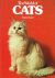 angela sayer, - the world of cats