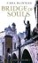 Fiona McIntosh - Bridge Of Souls - The Quickening: Book Three