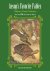  - Aesop's Favorite Fables