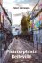 Pleisterplaats Belleville