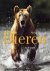 S. Bloom - Dieren