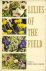 MATTHEWS, ANN - Lilies of the field. A book of Cyprus wild flowers