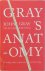 John Gray 36959 - Gray's Anatomy