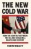 Robin Niblett - New Cold War