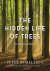 Hidden life of trees: the i...