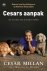 Cesar Millan - Cesars aanpak
