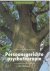 Persoonsgerichte psychother...
