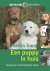 Een puppy in huis bouwen aa...