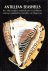 Coomans, Henry E. - Antillean seashells : the 19th century watercolours of caribbean molluscs painted by Hendrik van Rijgersma.