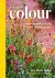 Ann-Marie Powell - A Year of Colour