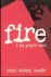 Fire - A spy Graphic Novel