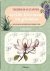 Wilde bloemen en planten - ...