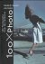 100 x photo : 100 photograp...