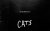  - Cats programmaboekje
