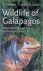Wildlife of the Galapagos