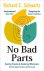 Richard Schwartz - 2023 No Bad Parts