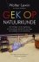 Lewin, Walter, Goldstein, Warren - Gek op natuurkunde