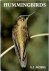 A. J. Mobbs - Hummingbirds