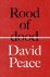 David Peace 14258 - Rood of dood