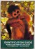 Indentification Guide Monke...