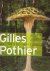 Gilles Pothier, maitre fleu...