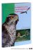 BIJLSMA, ROB G. / BLOMERT, ANNE-MARIE / a.o. - Ecologische atlas van de Nederlandse roofvogels.