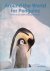 Plattema, Otto - Around the World for Penguins: Where to See All the 18 Penguin Species *GESIGNEERD*